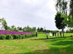 -马家湾湿地公园