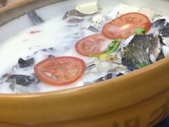 -全乐鱼馆·淳牌有机鱼直营店