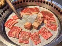 -熊出没日本烧肉放题
