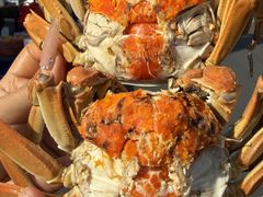 -品鲜村农家菜·阳澄湖大闸蟹(总店)