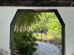 -嘉定紫藤园
