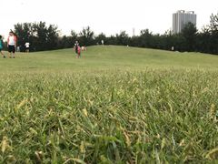 -俊家铁锅炖鱼(地工路店)