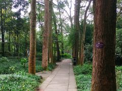 -廖哥泡椒兔(峨眉店)