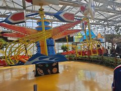 -南宫五洲植物乐园