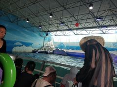 -秦皇岛乐岛海洋王国