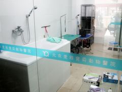 7-中农大我爱我爱24h动物医院·中医针灸·猫专科·骨科医疗中心(双井店)