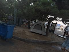 -日照海滨国家森林公园