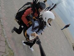 -费特希耶滑翔伞