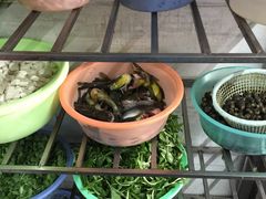 -下塘街25号农家菜馆(新场店)