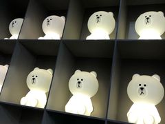 -line friends(明洞旗舰店)