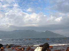 -西涌国际滨海旅游区