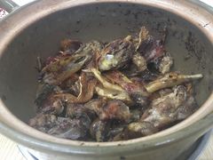 -灌顶姜母鸭(思明南路店)