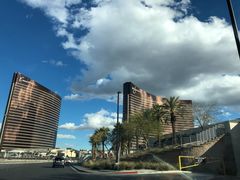 -拉斯维加斯永利酒店