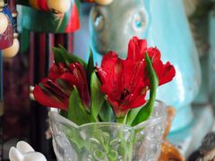 -花木兰花艺MULAN(温馨花园店)