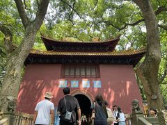 -普陀山风景名胜区-法雨禅寺