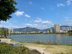 -飞来湖湿地公园