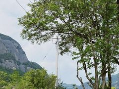 -照金香山旅游景区