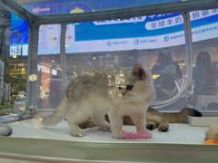 -鹏欣水游城