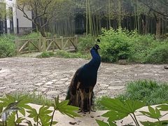 -苏州环秀晓筑养生度假村
