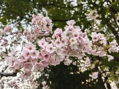 -静安雕塑公园