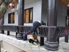 -巴山一绝烤全羊(三圣乡刘家花园店)