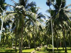 -三亚南山文化旅游区