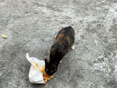 -珠海长隆海洋王国