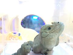 -珠海市博物馆