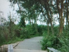 -朝阳公园游乐园