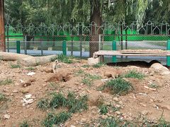 -秦皇岛野生动物园