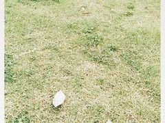 -眉山湿地公园(东坡区)