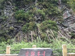 -望天鹅景区