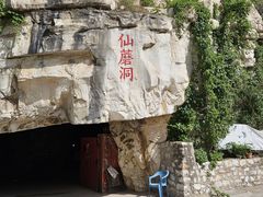 -仙蘑洞