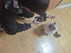 -剧狐剧本杀·月球探案馆(人民广场1号店)