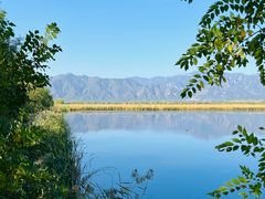 -野鸭湖国家湿地公园