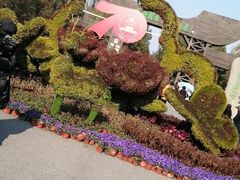 -溱湖国家湿地公园