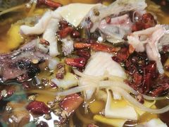 -金三可市井水煮鱼(金碧园店)