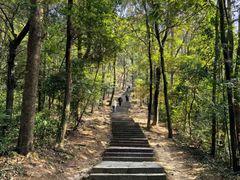 -西湖风景区十里琅珰-五云山