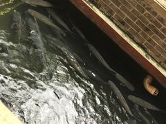 -侠成水上农庄(工业大道店)