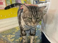 -平行世界·猫咖(首经贸店)