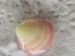 -青岛贝壳博物馆