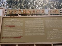 -北京凤凰岭