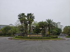 -河源万绿湖美思威尔顿酒店