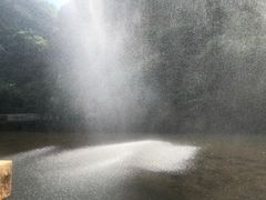 -少华山国家森林公园