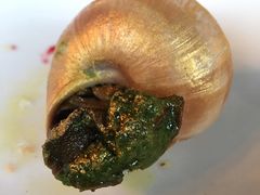 -金蜗牛