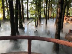 -东湖落雁景区
