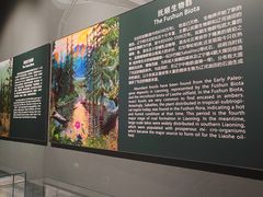 -辽宁古生物博物馆