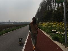 -上海长兴岛郊野公园