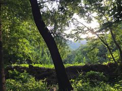 -大岭沟猕猴桃谷风景区