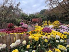 -杭州植物园